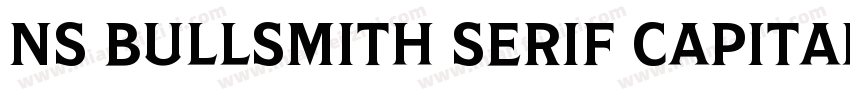 NS Bullsmith Serif Capital字体转换